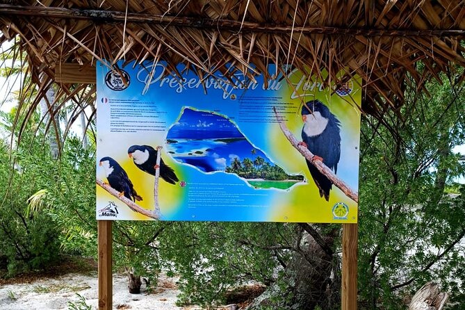 BLUE LAGOON | Eco-tour | Snorkeling Avatoru | Secret Green Lagoon - The morning boat ride and Bay of Sharks