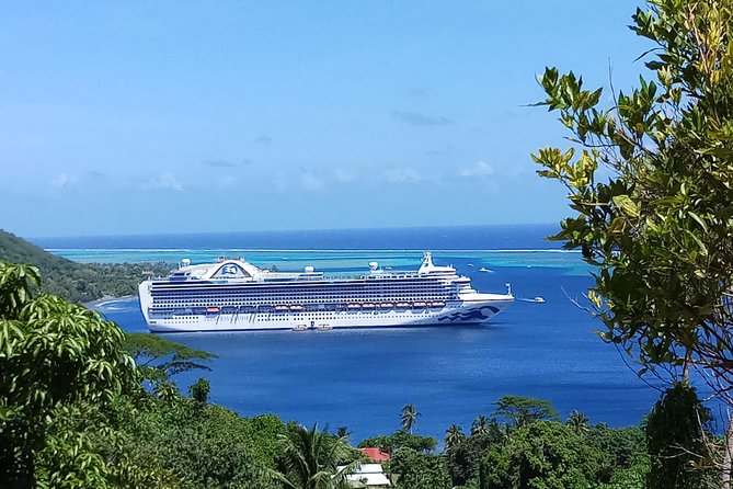 Blue Pearl Private Tour - What makes this Moorea tour different