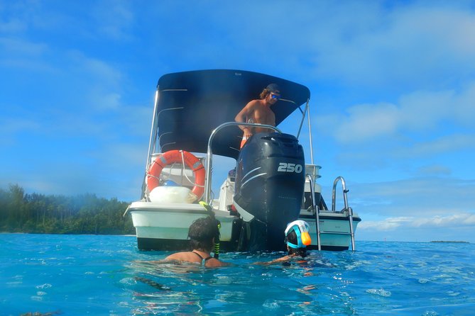 Boat tour 1/2 day Excursion in the lagoon of Moorea - The turtle area and Moorea’s changing wildlife