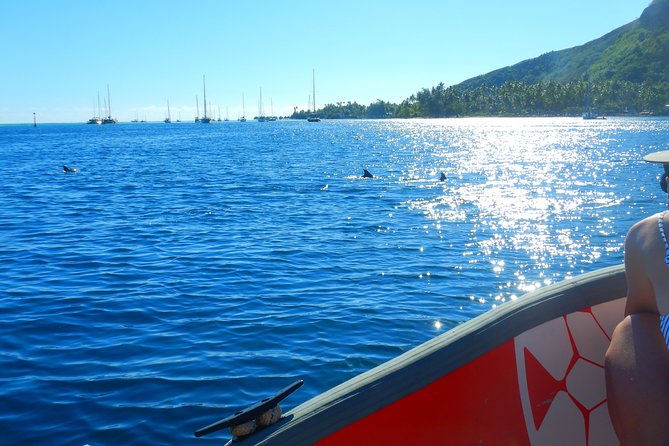 Boat tour 1/2 day Excursion in the lagoon of Moorea - Guides, safety, and the feel of the boat