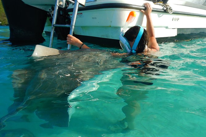 Boat tour 1/2 day Excursion in the lagoon of Moorea - What is included, and what you should bring