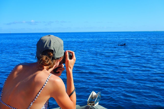Boat tour 1/2 day Excursion in the lagoon of Moorea - Timing, weather, and a few honest cautions