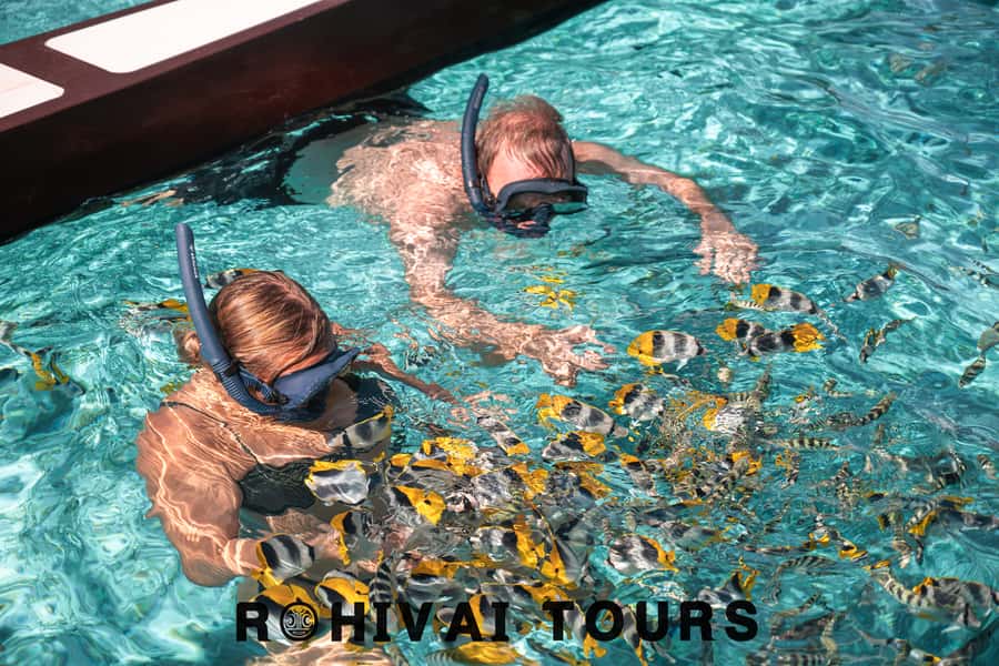 Bora Bora: 1/2 day lagoon safari - Shared tour - Key points to know before booking