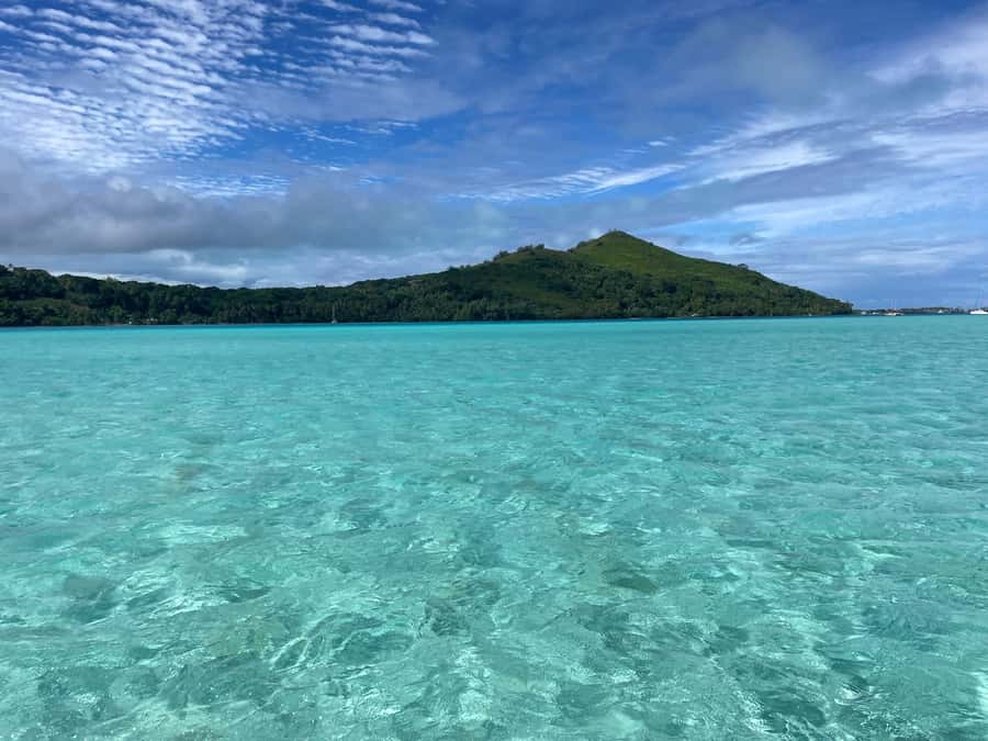 Bora Bora: 1/2 day lagoon safari - Shared tour - Who will enjoy this tour most