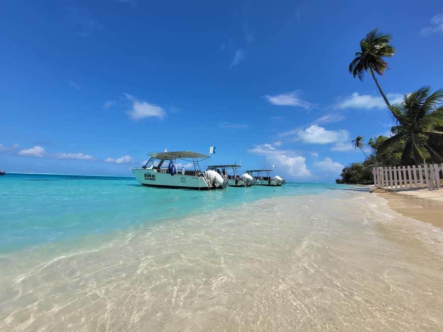 Bora Bora: 1 afternoon dive for certified divers - Why this short Bora Bora outing works