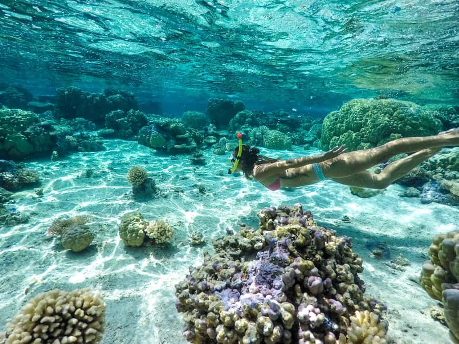 Bora Bora: 3.5-Hour Lagoon Boat Tour with Snorkeling - Starting from your hotel pontoon