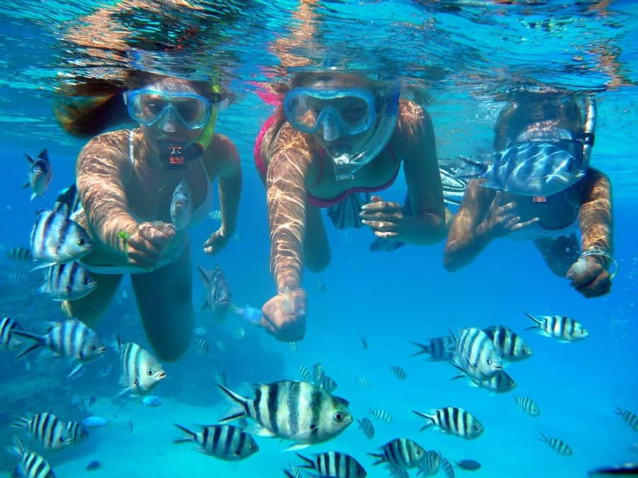 Bora Bora: 3.5-Hour Lagoon Boat Tour with Snorkeling - Searching for Bora Bora’s eagle rays