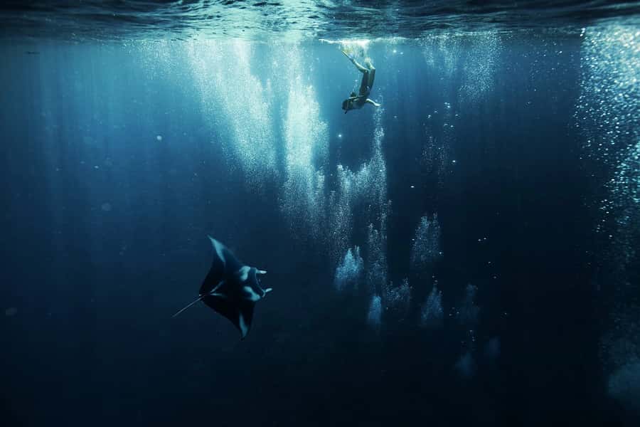 Bora Bora: 3.5-Hour Lagoon Boat Tour with Snorkeling - The manta ray feeding ground