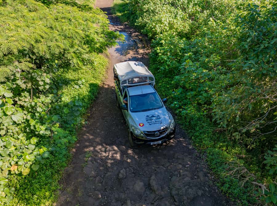 Bora Bora: 4WD History & Culture Tour - The ride itself: thrilling for some, tiring for others
