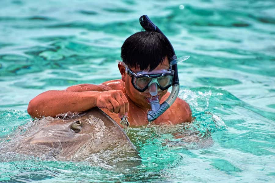 Bora Bora: 4x4 Safari with Snorkelling Combo Tour - The 4x4 ride through Faanui Valley