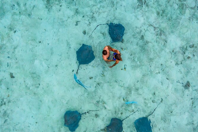 Bora Bora adventure Private Combo Jet Ski and Eco Sharks Snorkel - Why this combo makes sense in Bora Bora