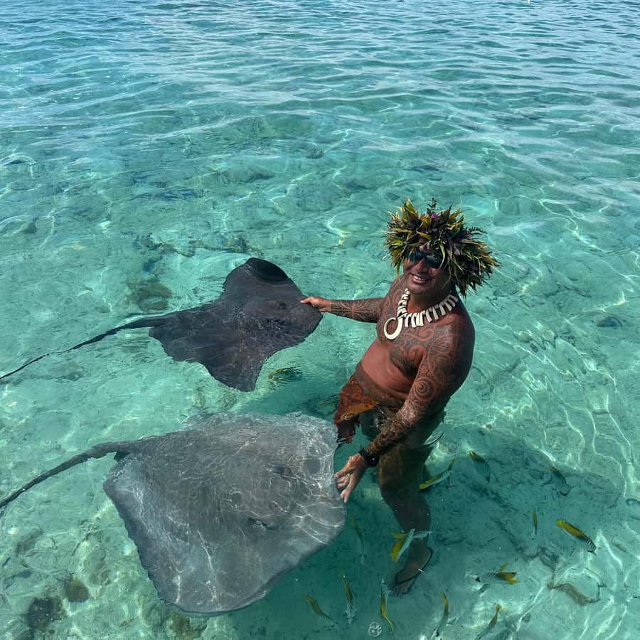 Bora Bora: Blue Lagoon Cruise, Snorkeling and Lunch . - Snorkeling the coral gardens