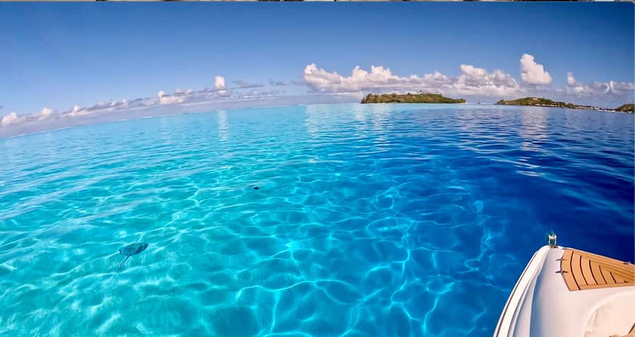 Bora Bora: Blue Lagoon Cruise, Snorkeling and Lunch . - The crew and the feel of the day