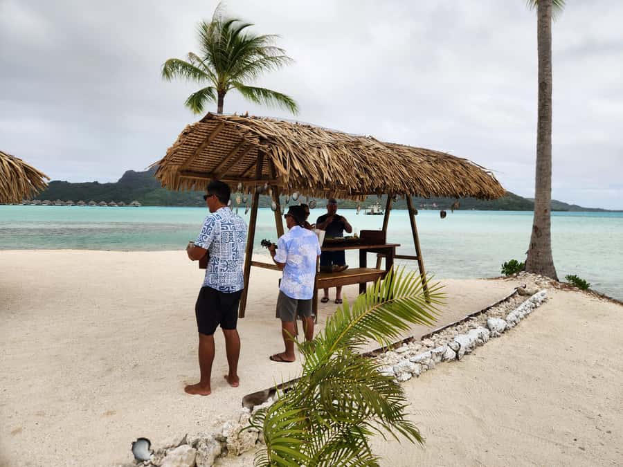 Bora Bora: Discovering the Tahitian black pearl ! - Choosing an oyster in the coral garden