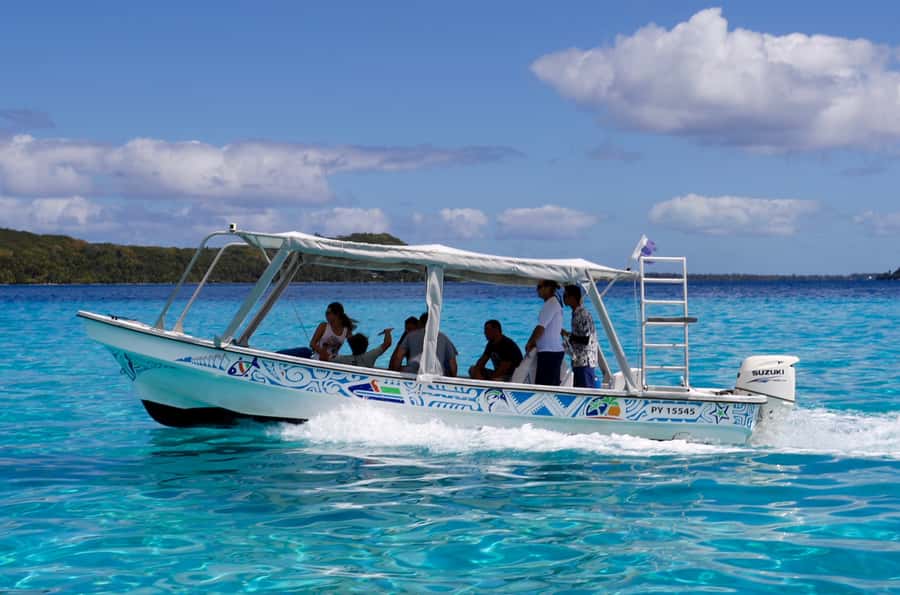 Bora Bora: Eco Shark and Snorkeling Safari - Who will enjoy this safari most