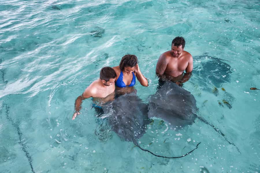 Bora Bora: Eco Shark and Snorkeling Safari - Timing, conditions, and realistic wildlife expectations