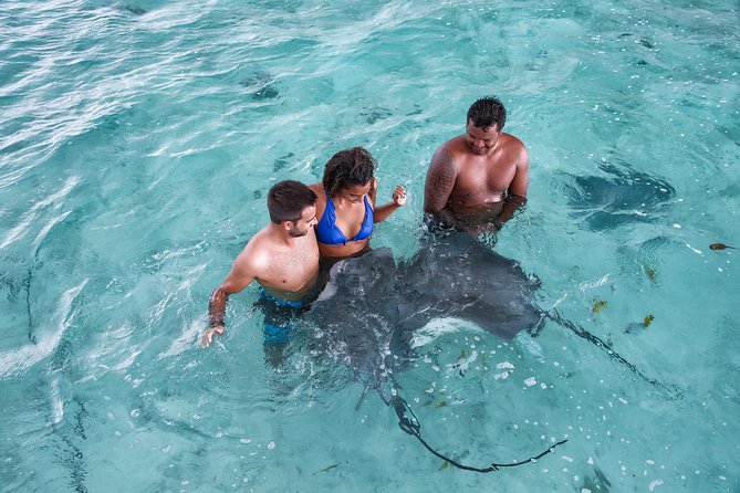 Bora Bora Eco Snorkel Cruise Including Snorkeling with Sharks and Stingrays - Key points to know before you book
