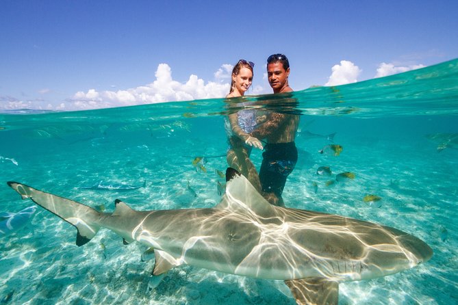 Bora Bora Eco Snorkel Cruise Including Snorkeling with Sharks and Stingrays - Boat time, pickup, and group size