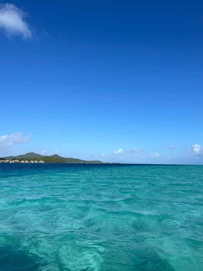 Bora Bora: Full day Lagoon Safari & Lunch on a Motu - ST - Who should book this Bora Bora safari