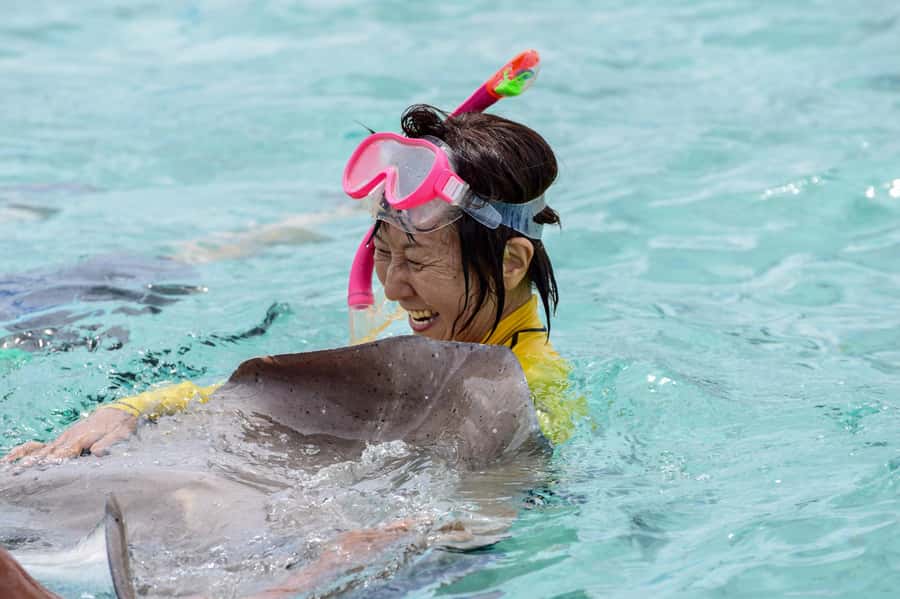 Bora Bora: Full-Day Lagoon Snorkelling Tour - Meeting rays in waist-deep water