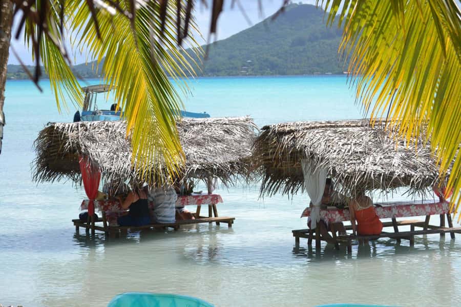 Bora Bora: Full-Day Lagoon Snorkelling Tour - What is included, and what should you bring?