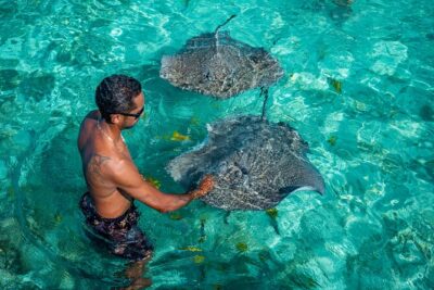 Bora Bora Full Day Snorkeling with Lunch