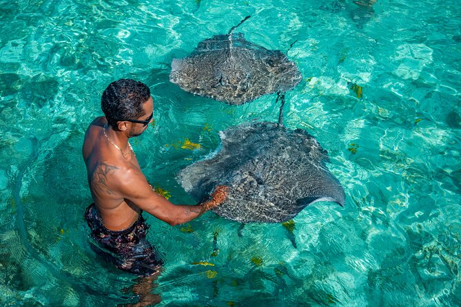 Bora Bora Full Day Snorkeling with Lunch - Anau and the manta ray encounter