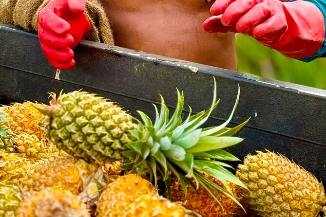 Bora Bora Gourmet Odyssey - Food Tour - What you eat: poisson cru, taro bread, and island produce