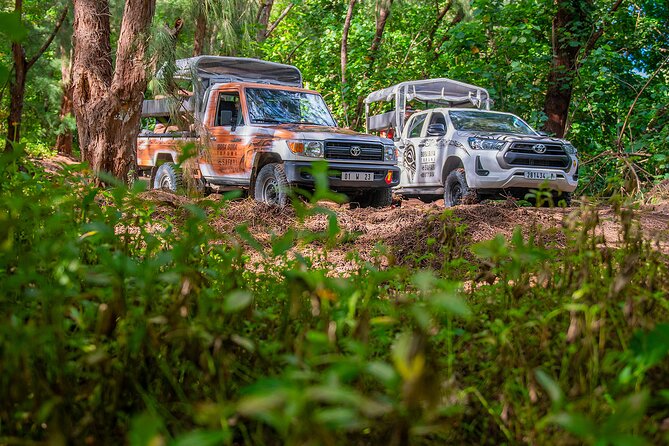 Bora Bora Half Day 4X4 Island Safari Tours - Mount Popoti delivers the main photo stop