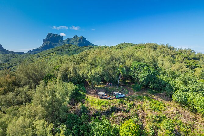 Bora Bora Half Day 4X4 Island Safari Tours - Faanui Valley adds plants, people, and local character