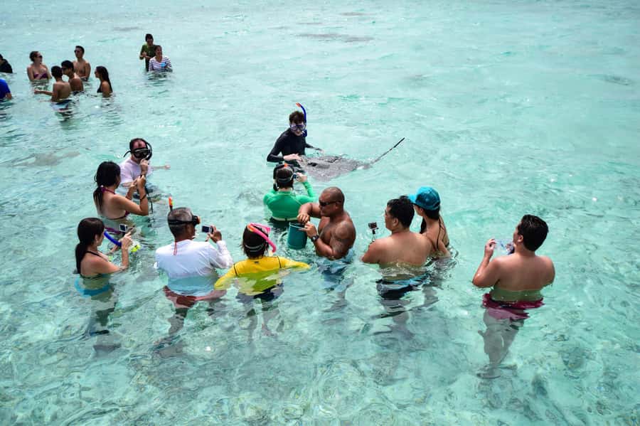 Bora Bora: Half-Day Lagoon Snorkelling Tour - Starting from the hotel pier