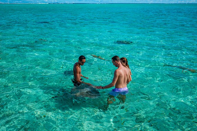 Bora Bora Half Day Snorkeling - What the $111.75 Price Buys You