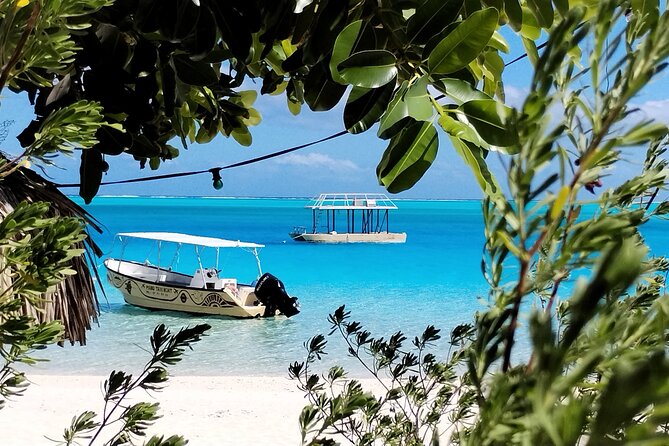 Bora Bora Half Day Snorkeling - Who Will Enjoy This Lagoon Trip Most
