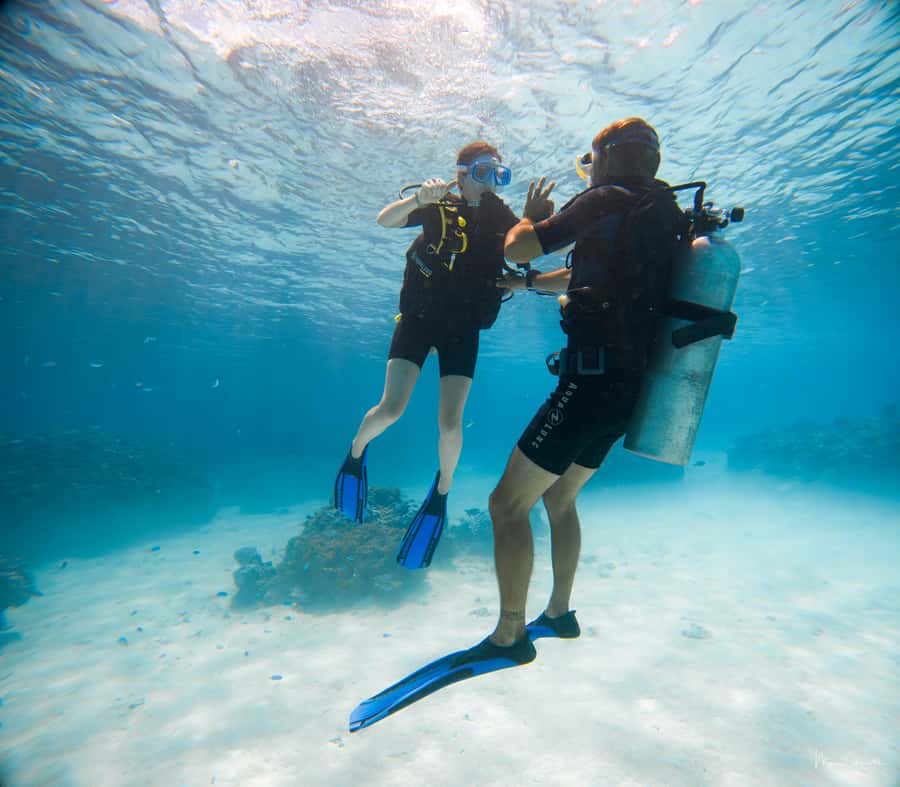 Bora Bora: Introductory Dive - A first scuba session in Bora Bora’s lagoon