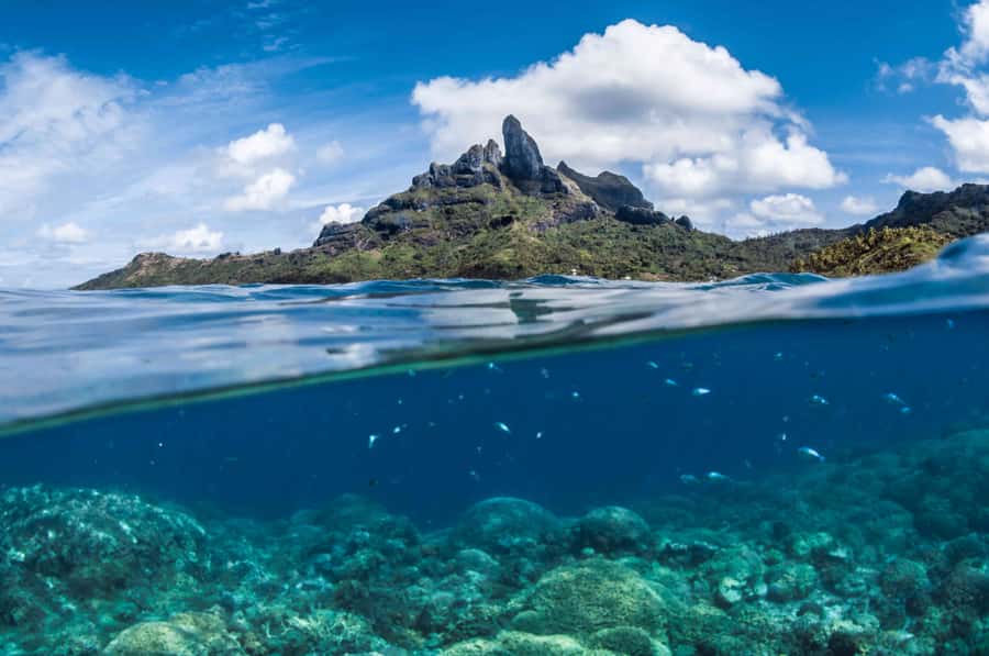 Bora Bora: Introductory Dive - What $147 includes, and what it does not