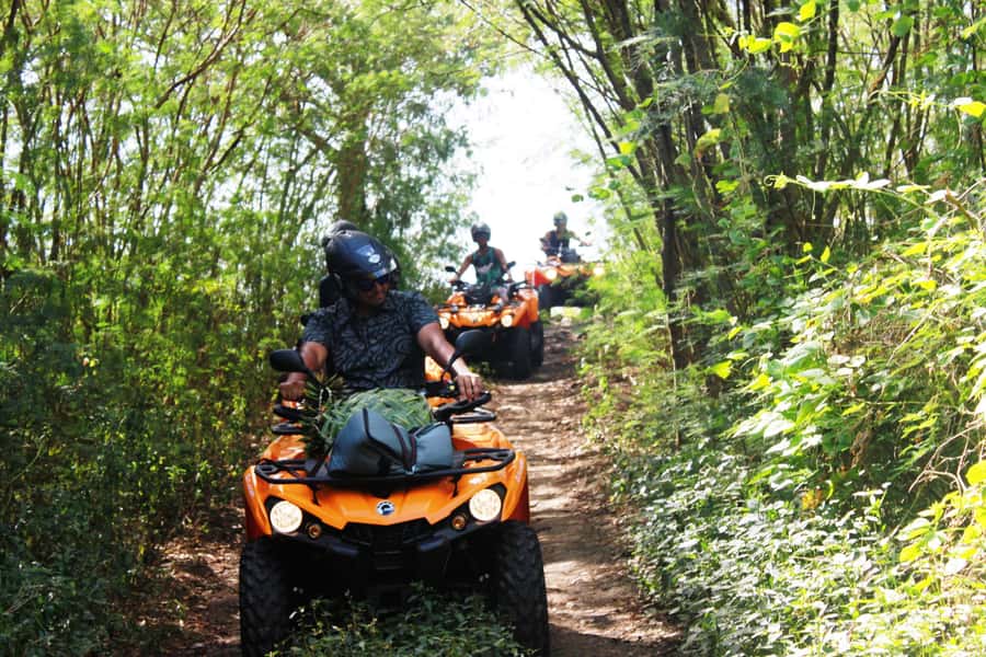 Bora Bora: Island Tour and Mountains Getaway by Quad Bike - The Anau rock trail and Mount Otemanu views