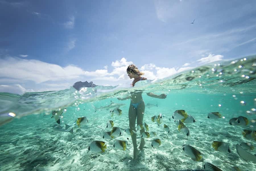 Bora Bora: Jet Ski, Lunch & Shark/ Ray Safari - A full day on Bora Bora’s lagoon