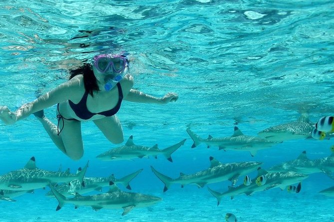 Bora Bora Jet Ski Tour, & Eco Shark / Ray Snorkel Cruise - What You May See Underwater