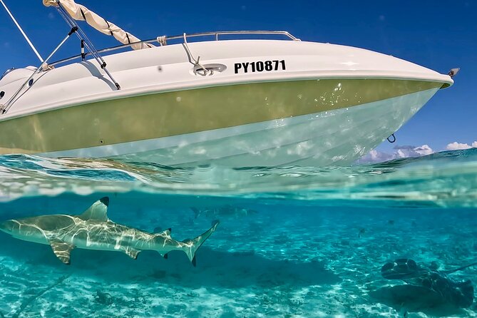 Bora Bora Jet Ski Tour, & Eco Shark / Ray Snorkel Cruise - Who Will Like This Tour Most