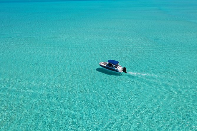 Bora Bora: Luxury Private Half Day Snorkeling Tour - Stop four: moray eels, barracuda, and the day’s surprises