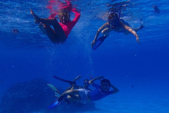 Bora Bora: Luxury Private Half Day Snorkeling Tour - What the $780 price really buys