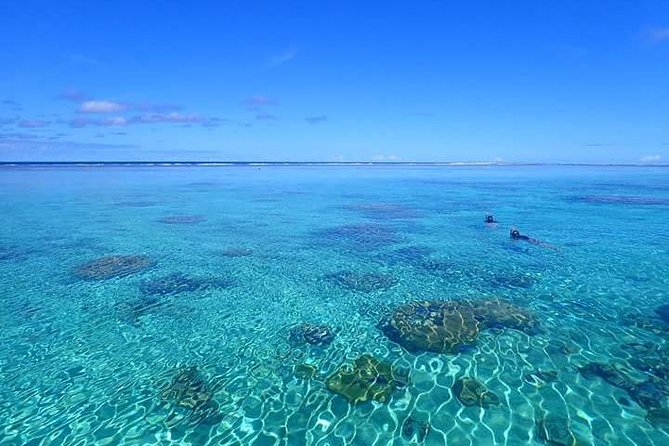 Bora Bora: Luxury Private Half Day Snorkeling Tour - Stop two: coral gardens and tropical fish