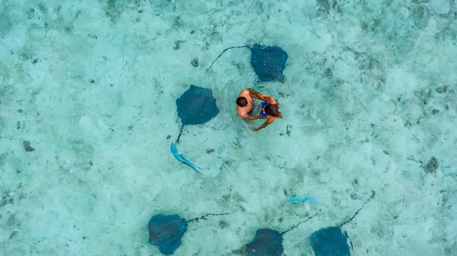 Bora Bora Luxury Tour and Beach Picnic - Should You Book This Bora Bora Lagoon Tour?