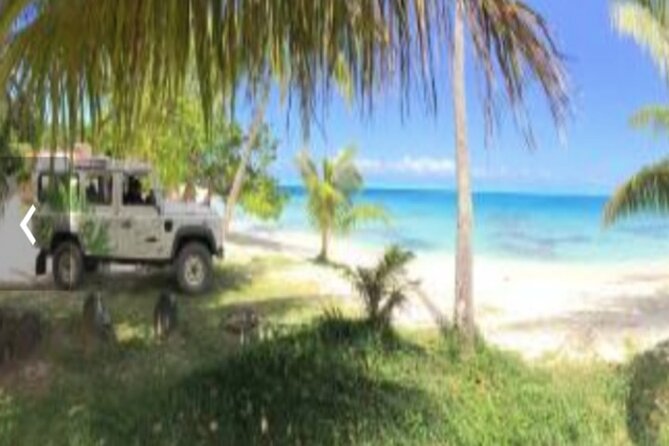 Bora Bora Off-Road Sightseeing Tour - Bunkers, guns, plants, and high viewpoints