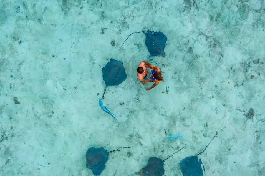 Bora Bora: Private Boat Tour with Snorkeling and Drinks - Key points to know before booking