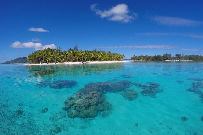 Bora Bora Private Lagoon Tours - What you can expect at Tohora Bora Bora