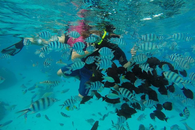 Bora Bora Private Lagoon Tours - Why snorkeling gear and flexible timing matter