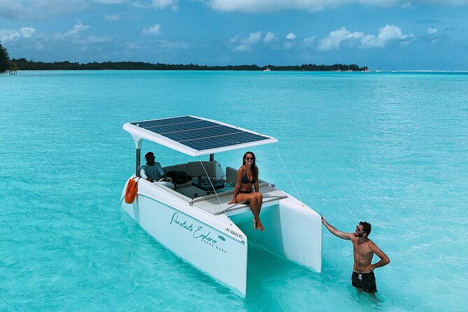 Bora Bora Private Solar Boat Experience - Who will get the most from this tour