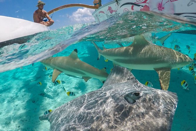 Bora Bora Snorkel Cruise by Polynesian Outrigger Canoe with BBQ Island Lunch - Why this six-hour lagoon trip is worth your time