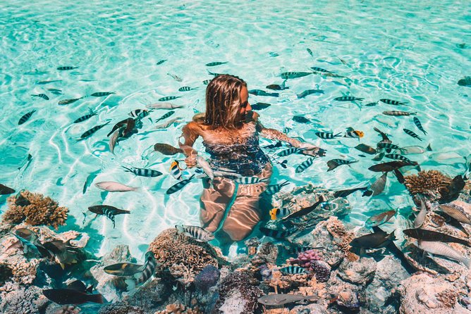 Bora Bora Snorkel Cruise by Polynesian Outrigger Canoe with BBQ Island Lunch - Stop one: the coral gardens